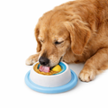 PetMochi™ Slow Feeder Lick Bowl for Dogs